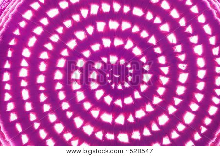 Pink psykedeliske spisekammer