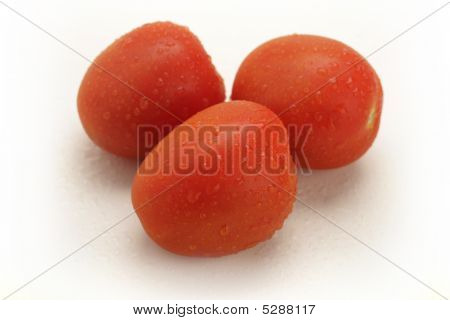 Tomato