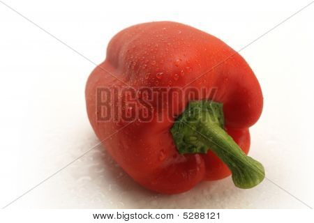 Red Pepper