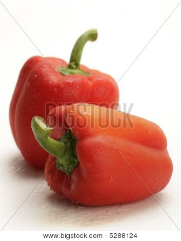 Red Pepper