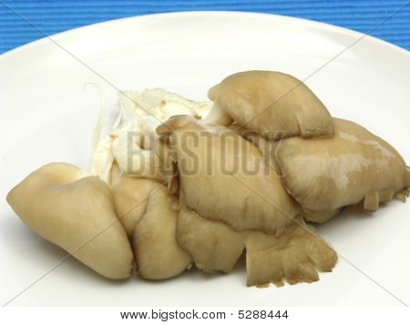 Funghi ostrica su un piatto bianco di porcellana