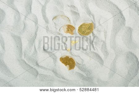 Old gold dollars