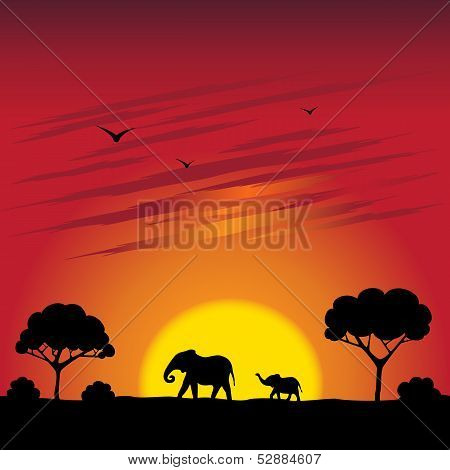 Sunset on a savanna