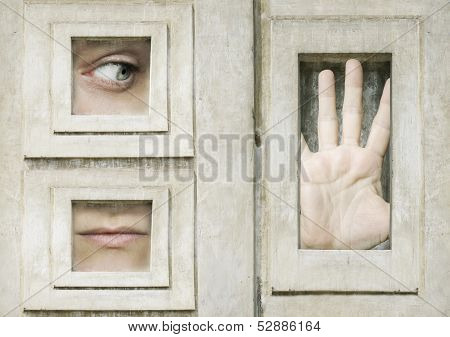Let Me Out