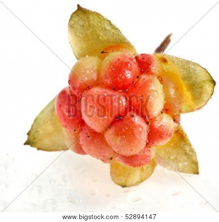 Single fresh cloudberry ( Rubus chamaemorus) close up macro  isolated on white background