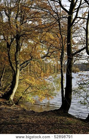 Autumn Colours