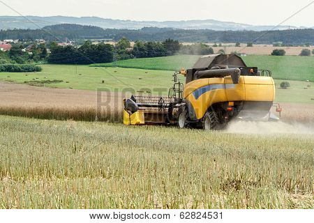 Combine Harvesting Rape