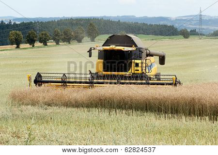 Combine Harvesting Rape