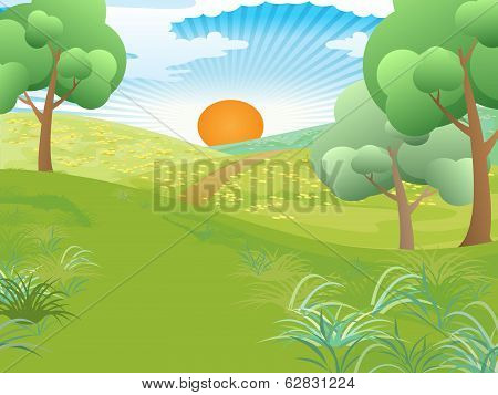 Sunny Day Garden
