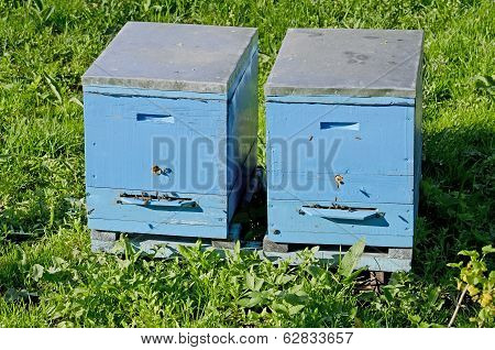Beehive