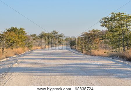 Road