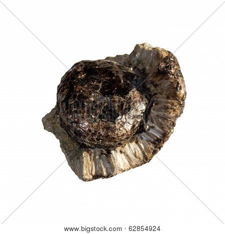 Mineral  Anthophyllite  On  White Background
