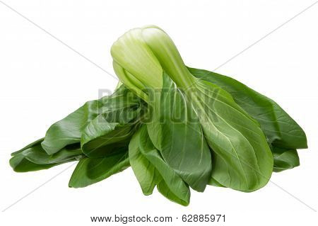 Baby Bokchoi