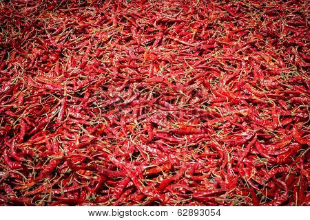 Chilli