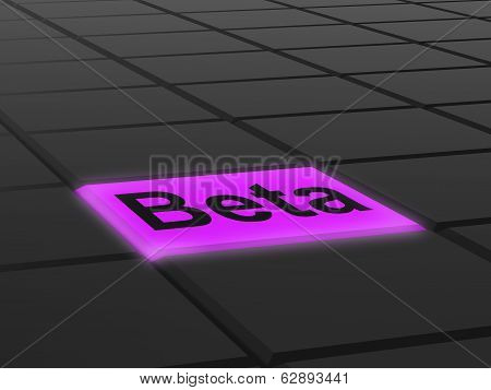 Beta Button Shows Development Or Demo Version