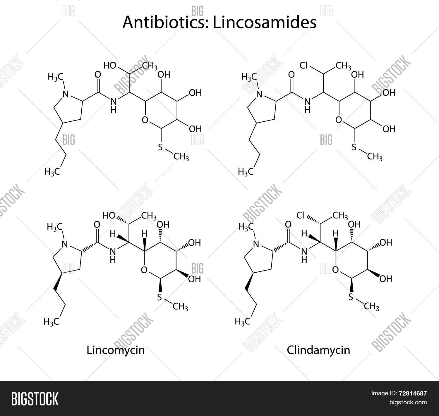 Lincomycin Free Trial