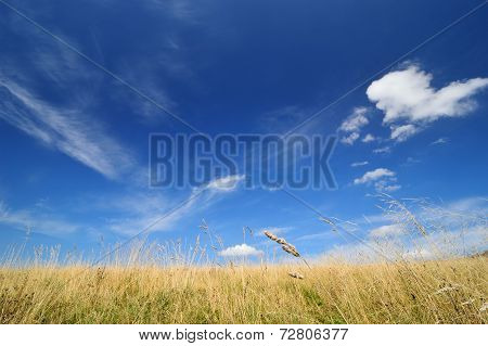 Late Summer Landscape.