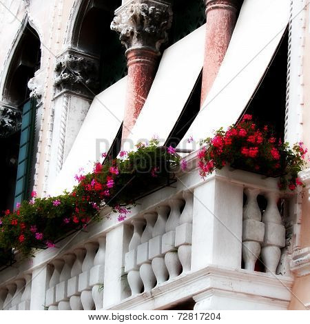 Balcony With Flower On An Ancient Venetian Palace