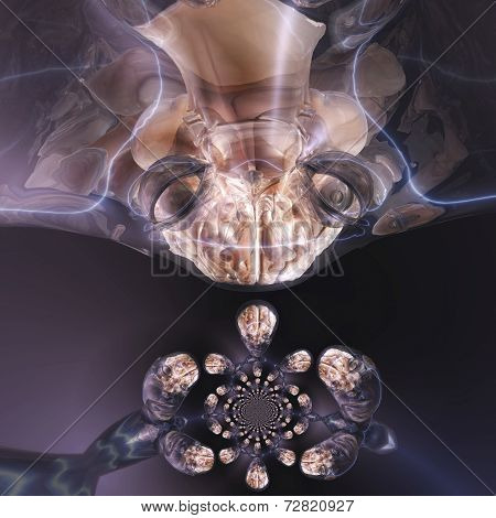 Surreal Human Brain