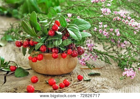 Cowberries And Common Heather Flowers On Rustic Surface
