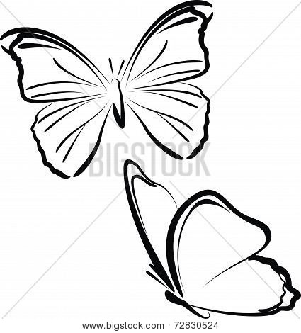 butterflies
