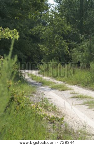 countryroad