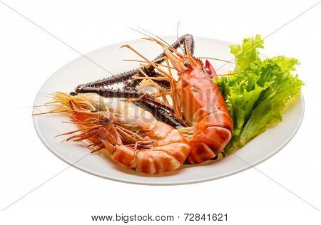 Giant Freshwater Prawn And King Prawns