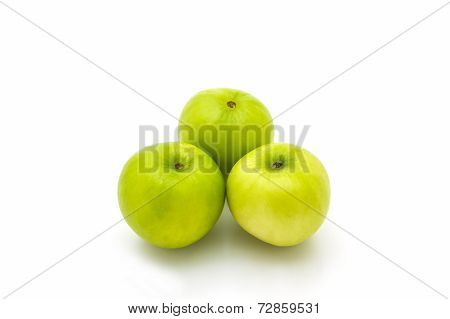 Green Fresh Ziziphus Mauritiana, Jujube, Chinese Apple.