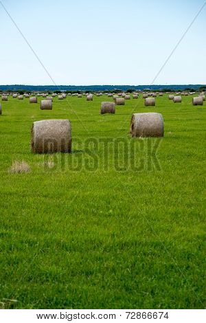 Rolls Of Hay In Green Field