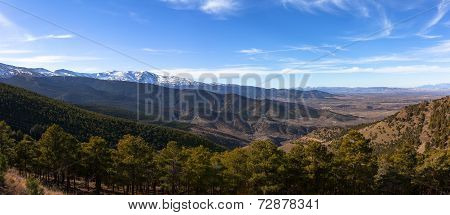 Sierra Neveda Mountains