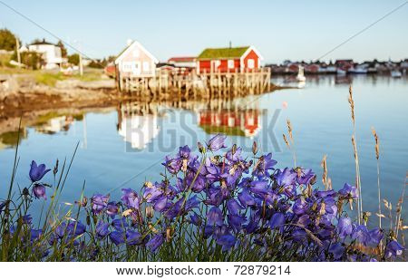 Classic Norway View