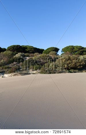 Geometric Patterns In Sand At  Beach