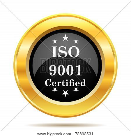 Iso9001 Icon