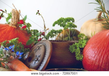 Pumpkins carrots seeds butternut squash and herbs - Still life composition with seasonal vegetables