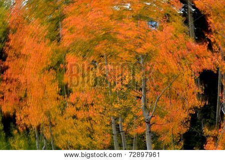 Season in Motion
