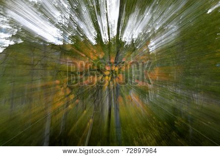 Radiant Fall