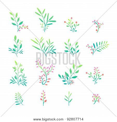 Set of plant elements. Bouquets, kits, ornaments of grass, twigs, leaves and berries. Simple style.