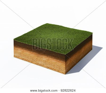 Isometric Cross Section Of Ground With Grass