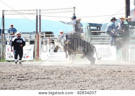Ty Pozzobon Invitational Pbr