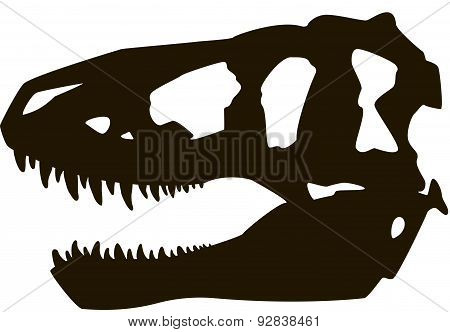 Tyrannosaurus Skull