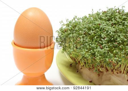 Fresh Easter Egg In Orange Cup With Green Cuckooflower. White Background
