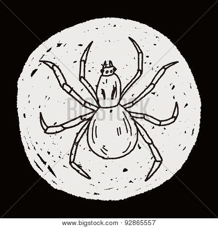 Spider Doodle
