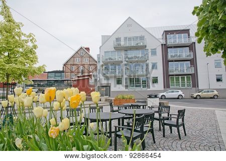 Residential modern building with tulips