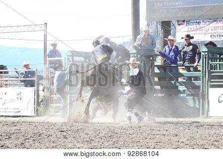 Ty Pozzobon Invitational Pbr