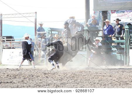 Ty Pozzobon Invitational Pbr