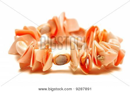 Shell Bracelet