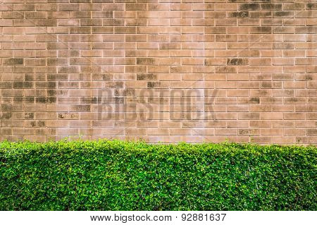 Vintage Style Decorative Brown Brick Wall With Plant