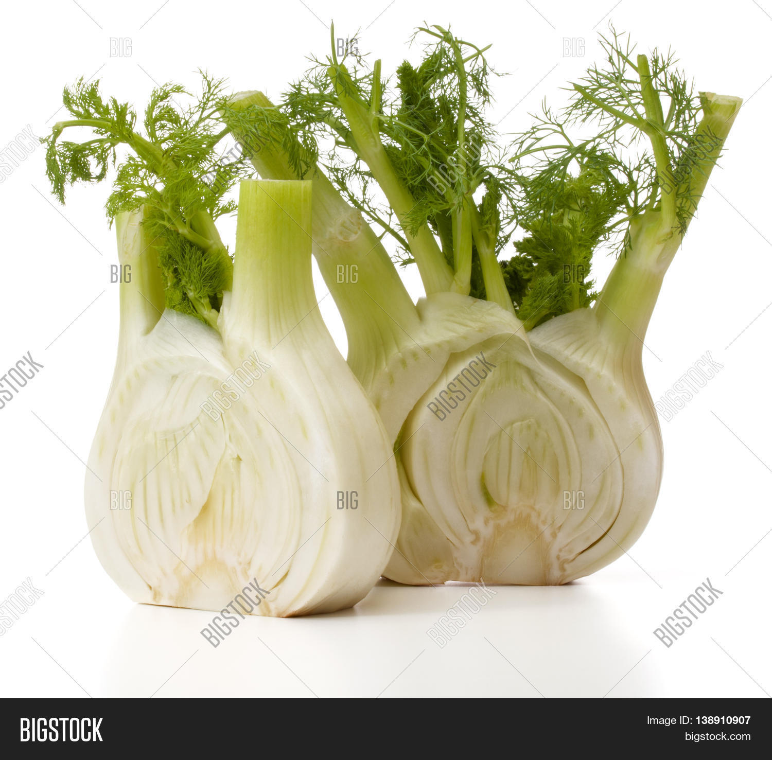 Fresh Fennel Bulb Image & Photo (Free Trial) Bigstock