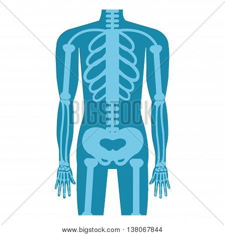 Medical healthcare xray exam isolated flat icon, vector illustration graphic design.