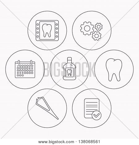Mouthwash, tooth and dental x-ray icons. Tweezers linear sign. Check file, calendar and cogwheel icons. Vector